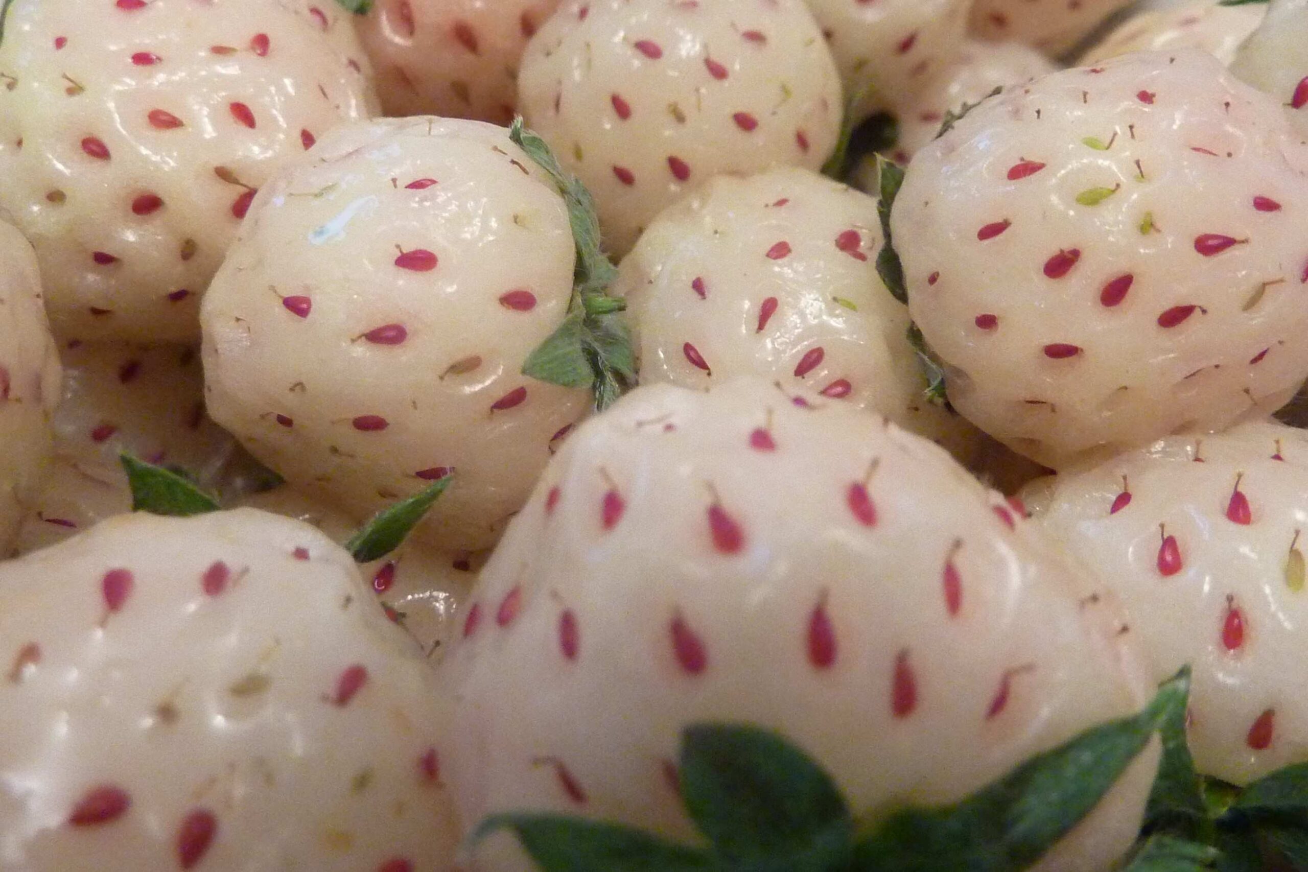 are pineberries healthy