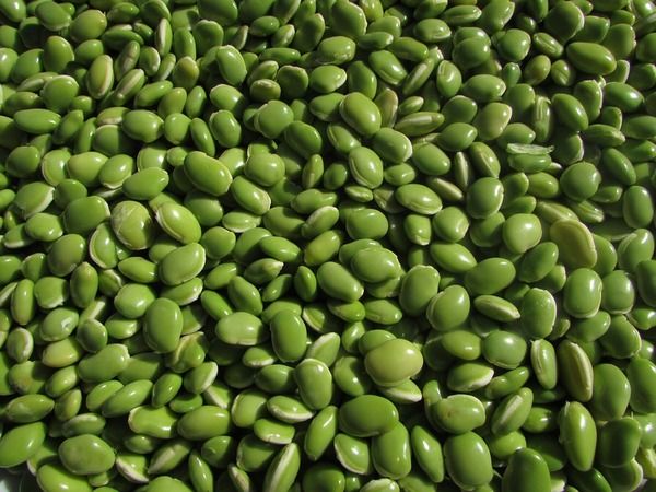 pigeon peas health benefits